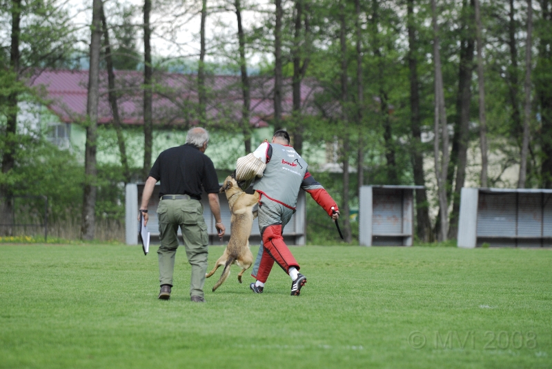 FMBBMM2008_151.JPG