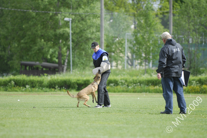 IPOKARSINTA2009_040