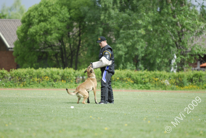 IPOKARSINTA2009_052