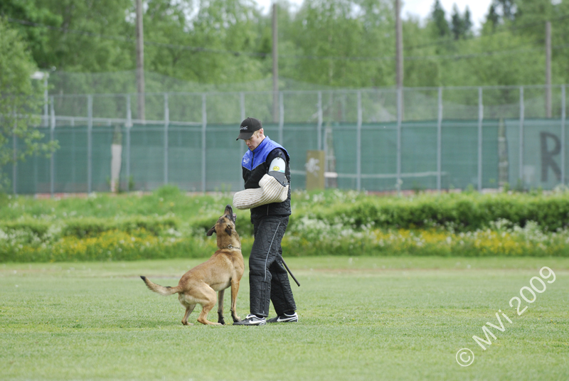 IPOKARSINTA2009_056