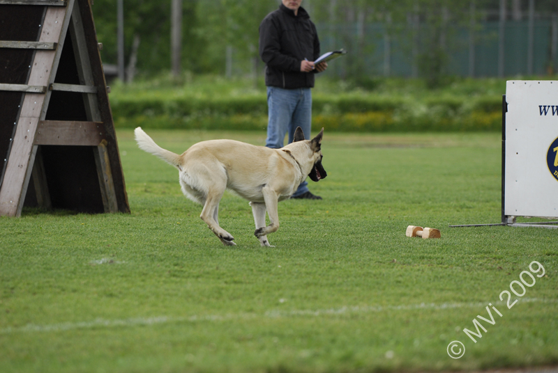 IPOKARSINTA2009_062