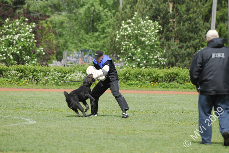 IPOKARSINTA2009_072