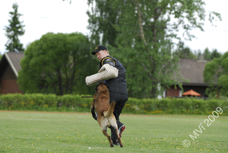 IPOKARSINTA2009_076