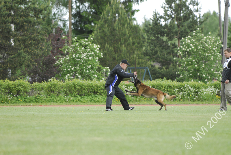 IPOKARSINTA2009_078