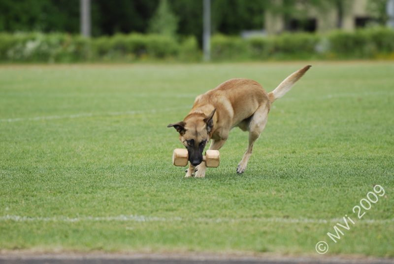 IPOKARSINTA2009_087