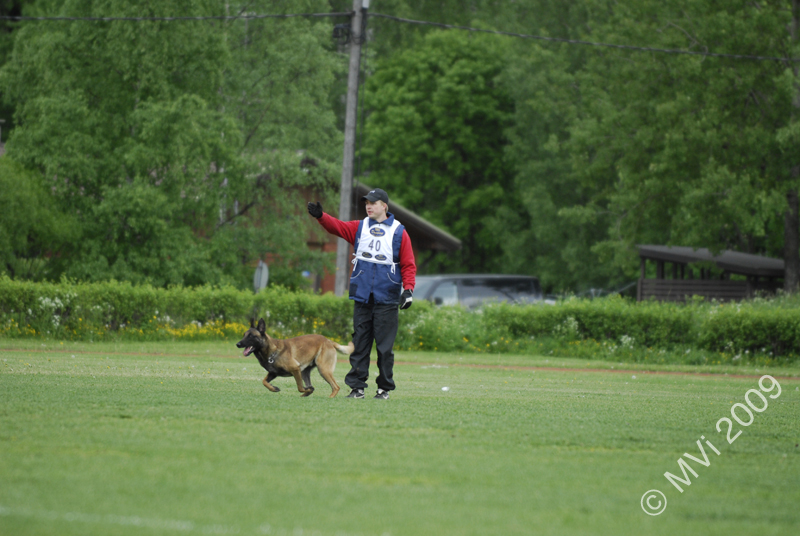 IPOKARSINTA2009_090