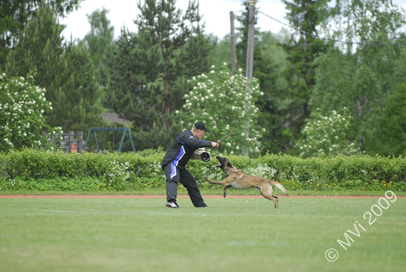 IPOKARSINTA2009_091