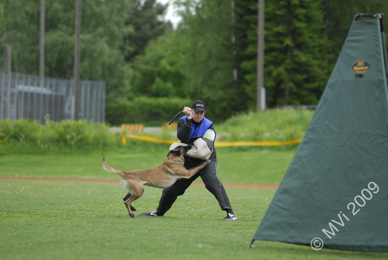 IPOKARSINTA2009_097