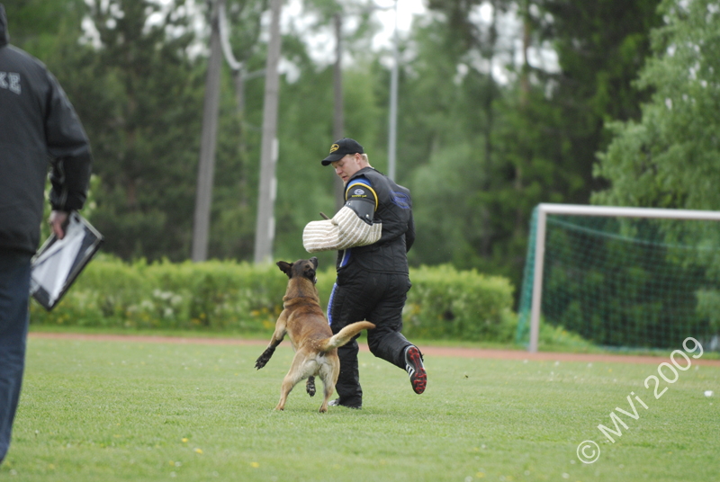 IPOKARSINTA2009_109