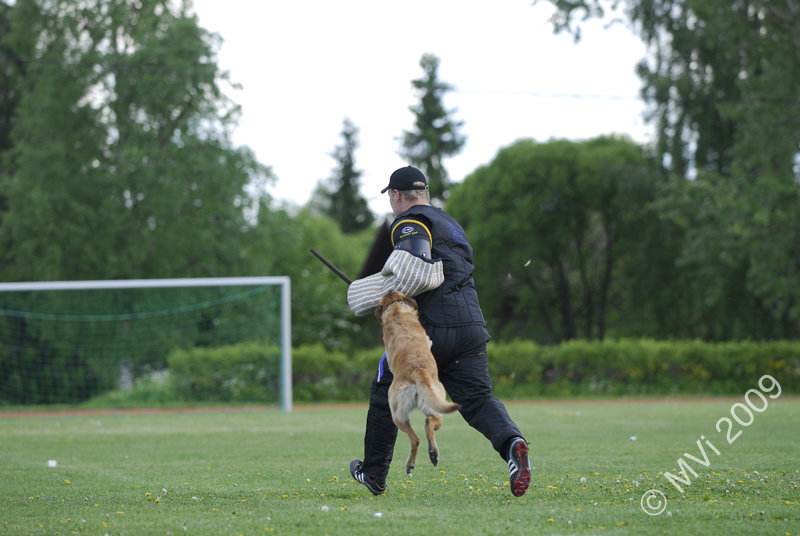 IPOKARSINTA2009_130