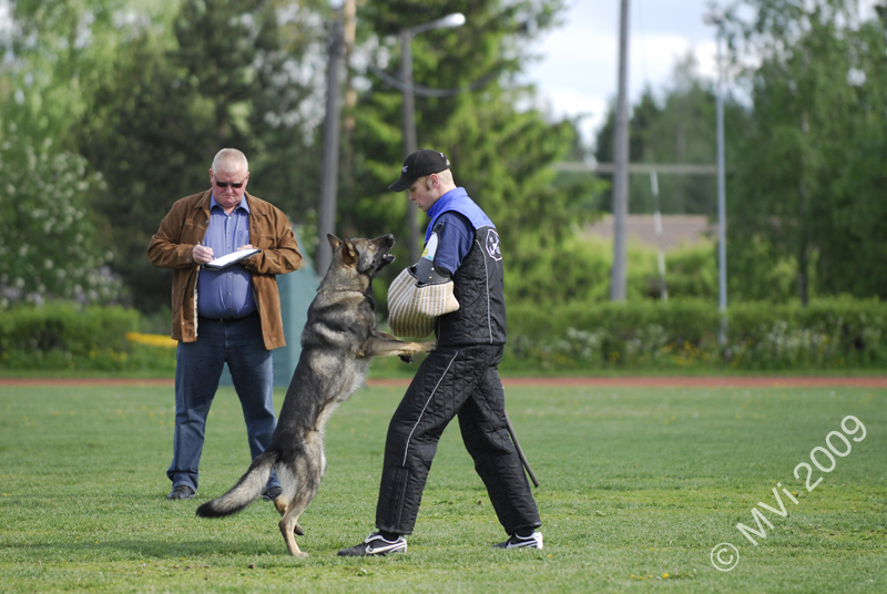 IPOKARSINTA2009_136