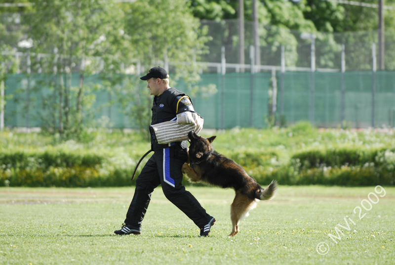 IPOKARSINTA2009_139