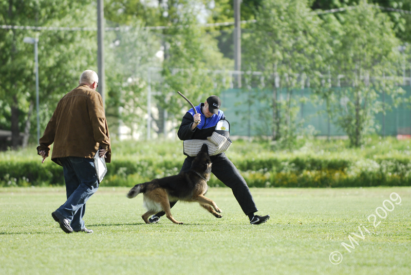 IPOKARSINTA2009_142