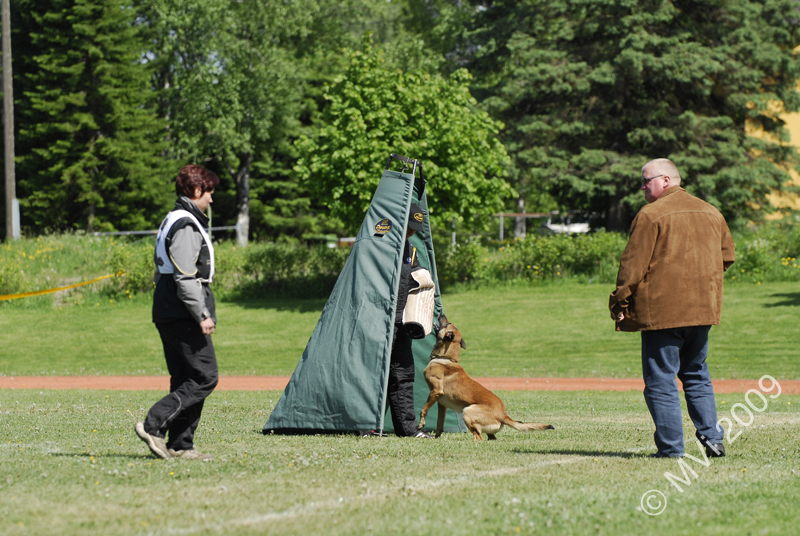 IPOKARSINTA2009_183